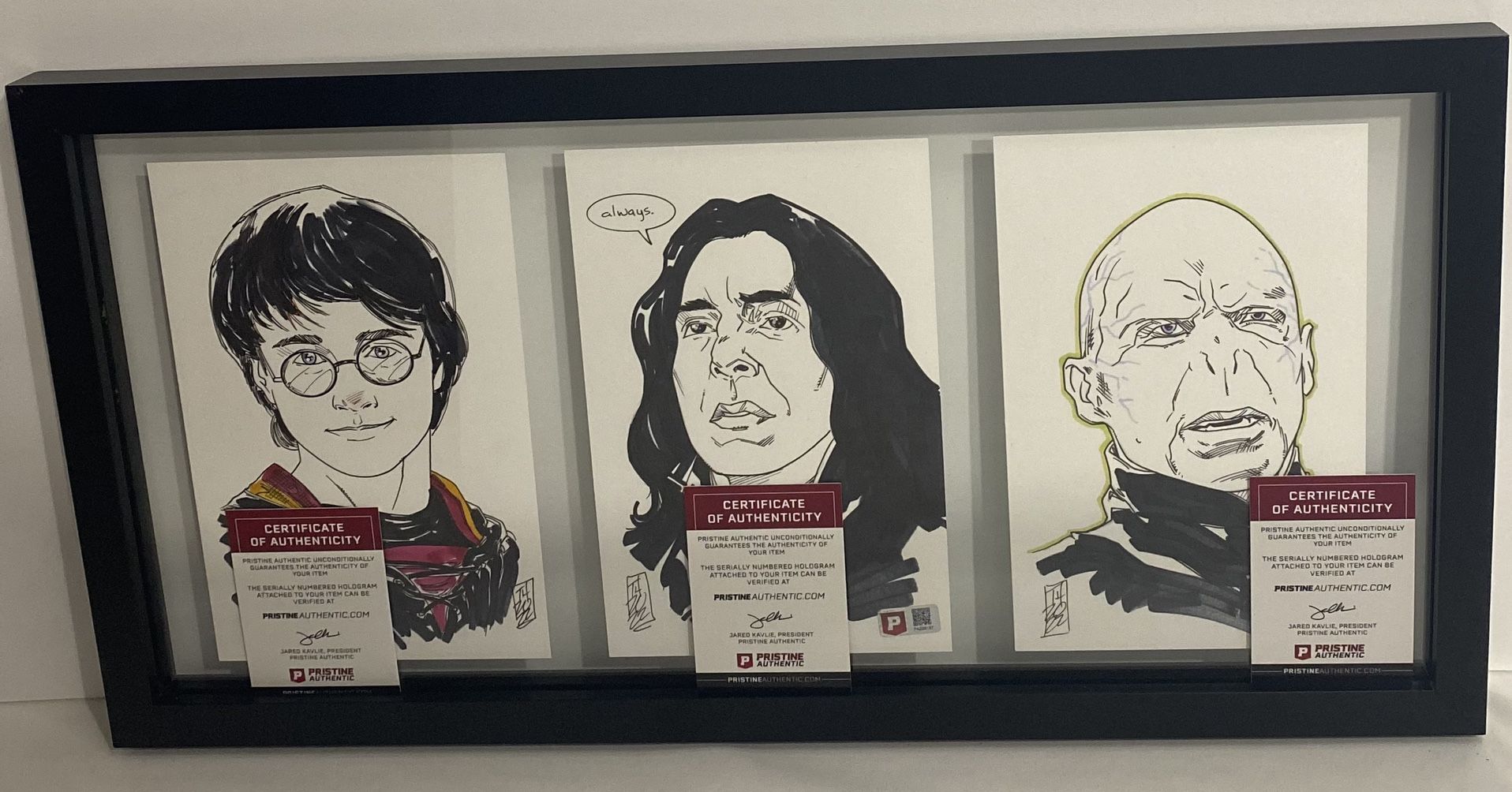 Iconic Cartoonist Tom Hodges Original Drawings Of Harry Potter, Voldemort , And Proffessor Snape! All Signed And Authenticated!