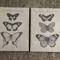 Two Butterfly Paintings