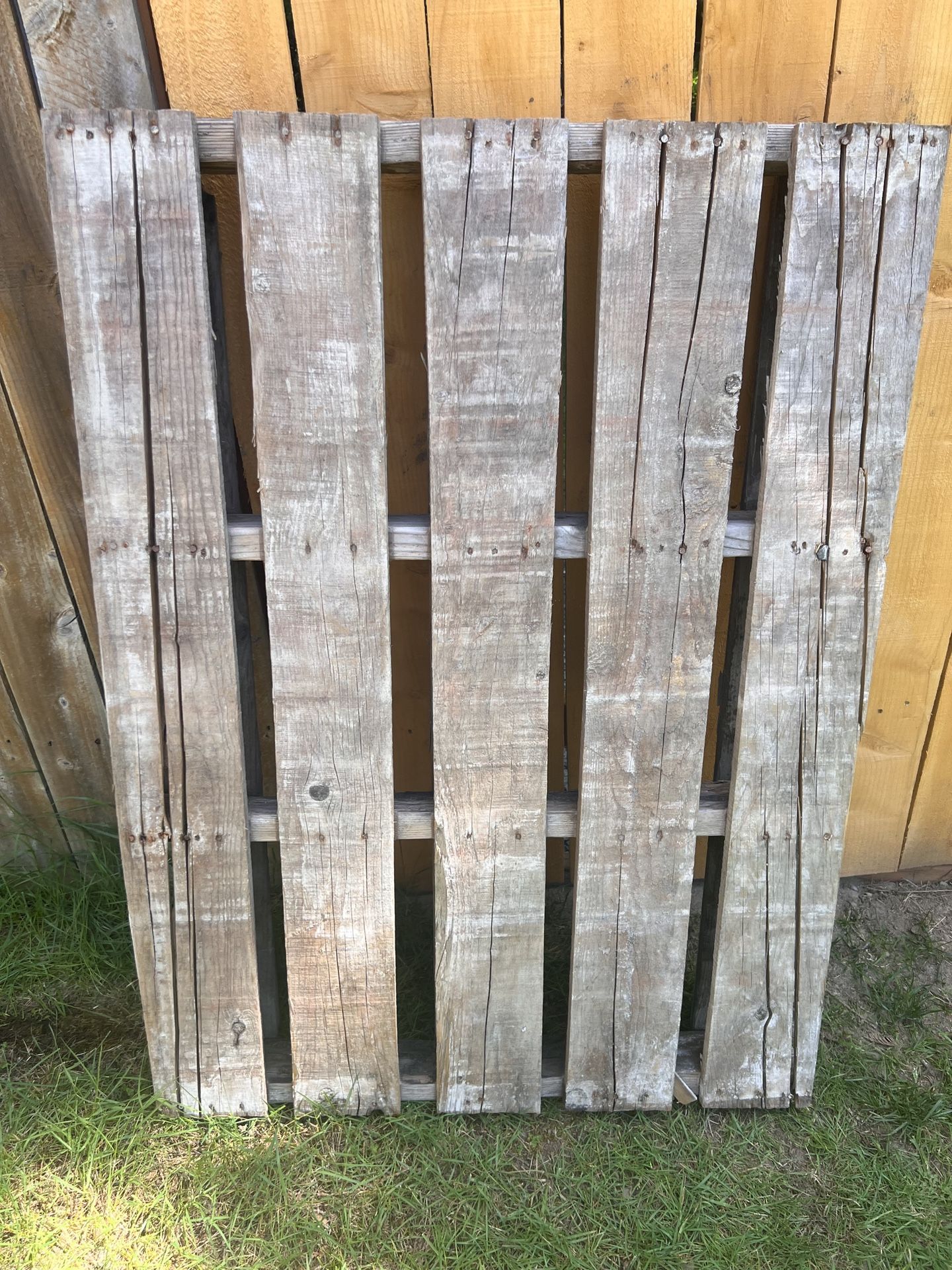 Wood Pallet 