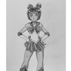 Original Sailor Moon (price is negotiable)