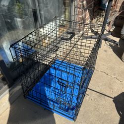 Cage Dog Size 19x21