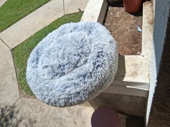 Ola  Phum   Dogs  Beds