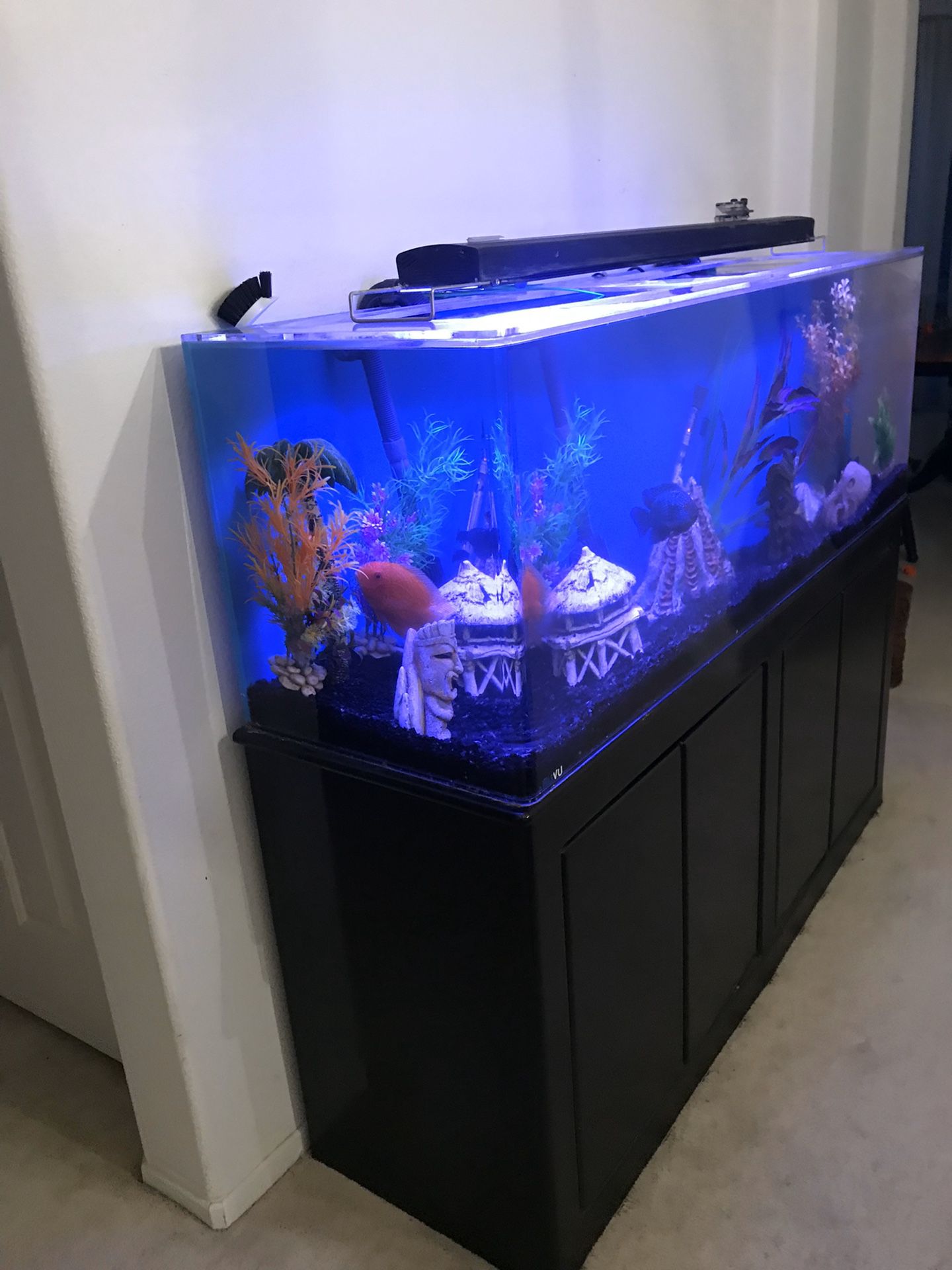 100 gallon acrylic aquarium full set up with stand
