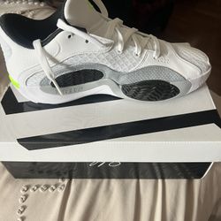Brand New Jordan Tatum 2