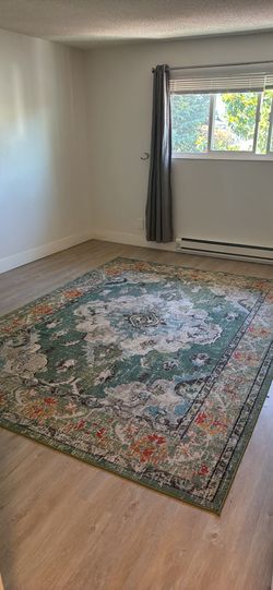 $40 Green Area Rug