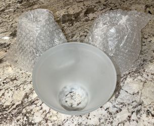 Frosted Glass Light Globes