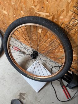 gold 29 rims