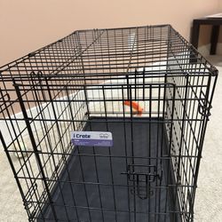 MidWest Dog Crate