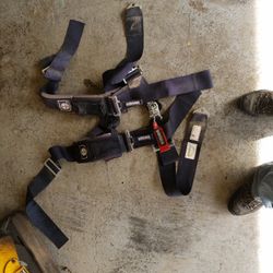 Rzr Pro Armor Harness 