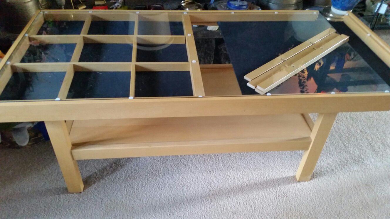 Coffee table display case
