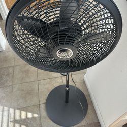 Fan