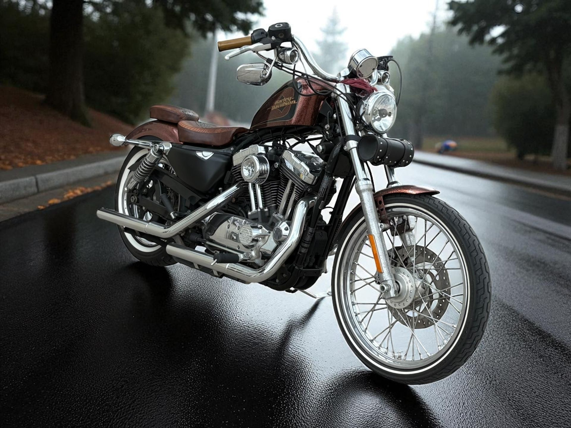 2014 Harley-Davidson Sportster 1200