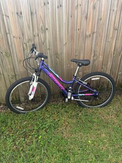 Schwinn High Timber 24” Mountain Bike – $140  OBO