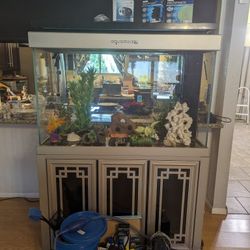 Fish Tank And Supplies