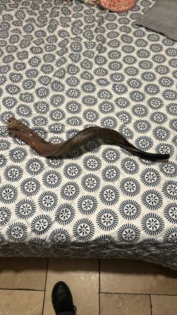 Shofar