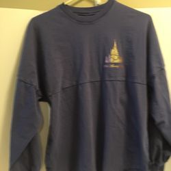 Preowned Adult Walt Disney World purple 50th anniversary Castle Spirit Jersey size small in great condition,Unisex.