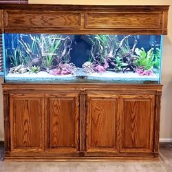 180 Gallon Tank With Solid Oak Stand And Cover/hood