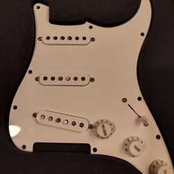 Fender Player Stratocaster Loaded Pickguard