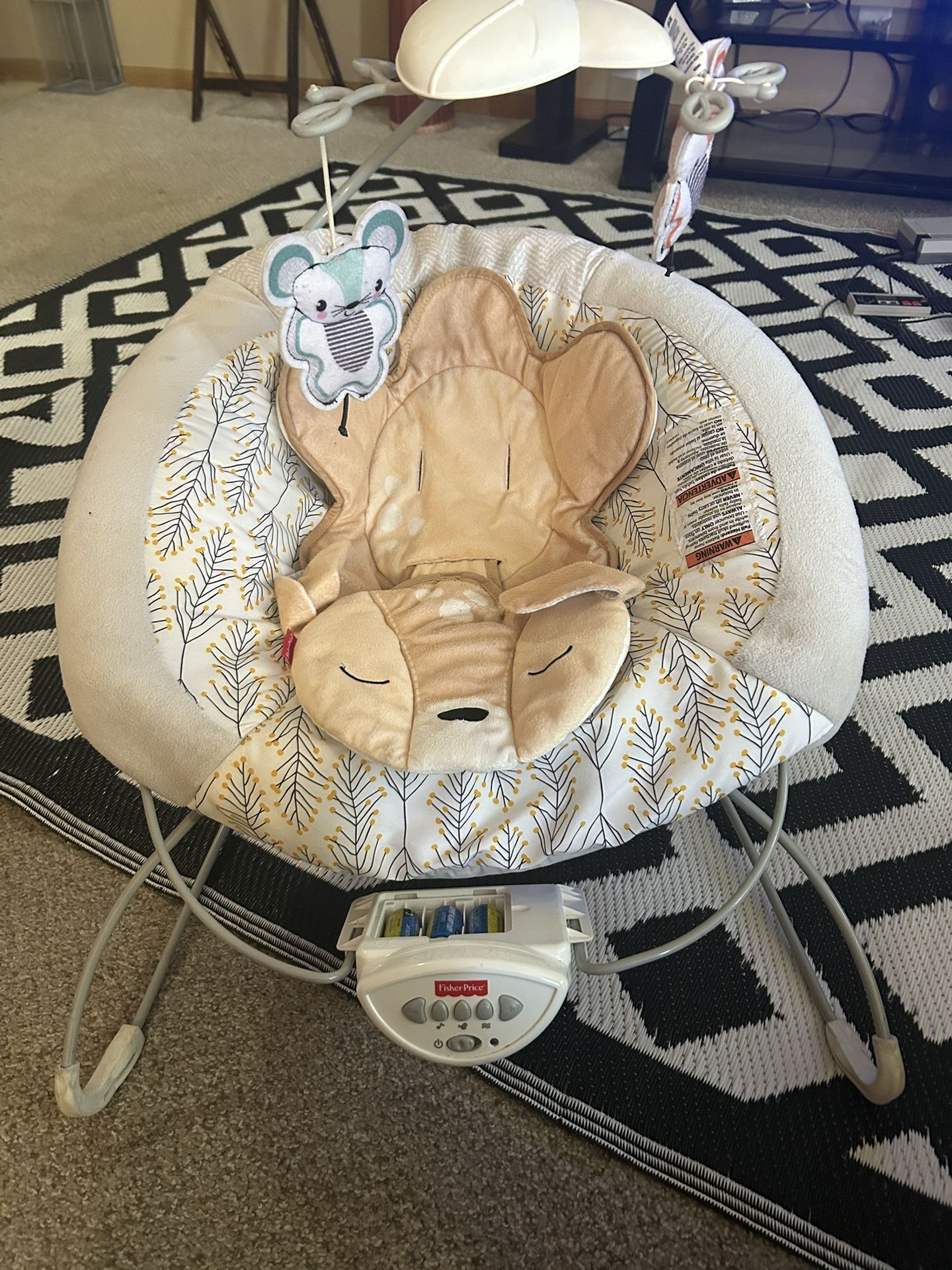 Fisher price Seat