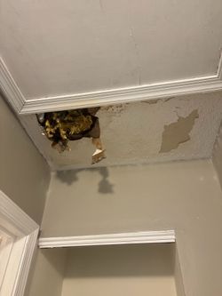 New wall
