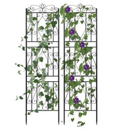 Set of 2 Large Black Metal Garden Trellis Rose Grapes Plant Trellis Outdoor Screen,19.7x71.6 inch