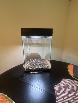 10 Gal Fish Tank Set Up