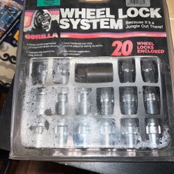 Wheel Lock System, 20 Inch Wheels Locks Enclosed