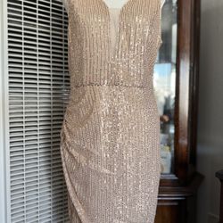 Sequinned Knee Dress