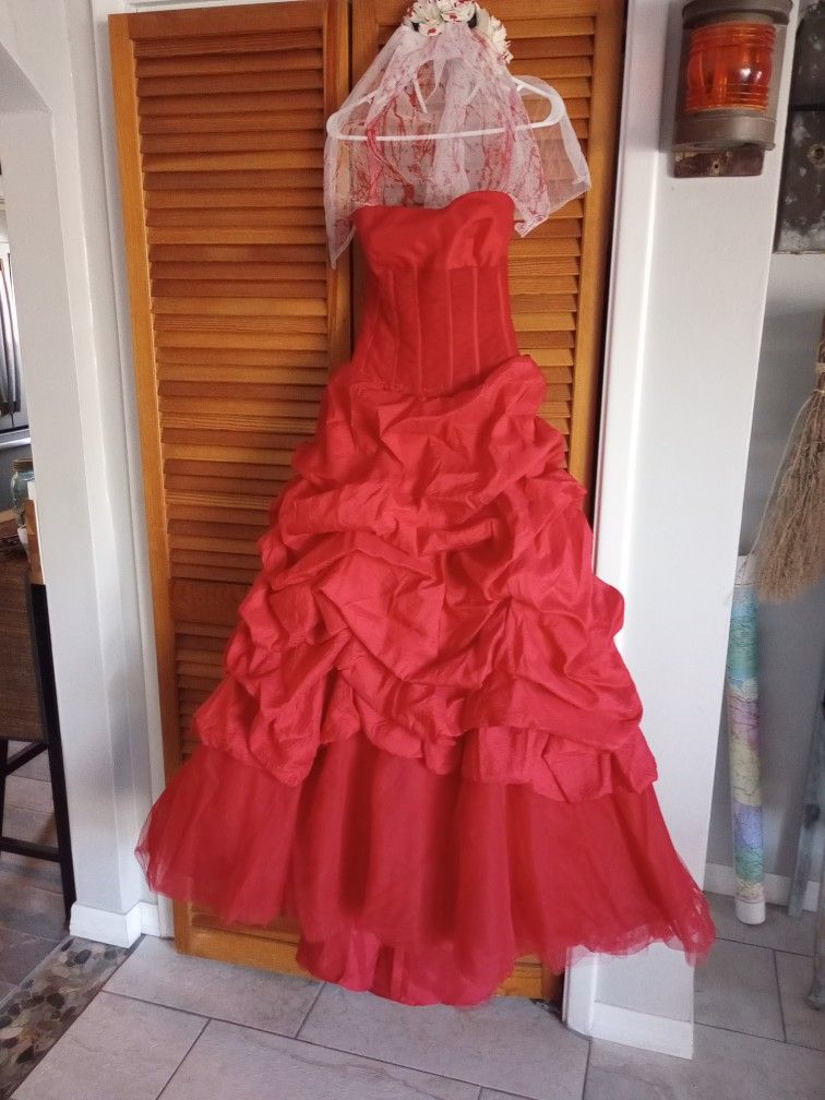 Beautiful private collection Gown Sz 6