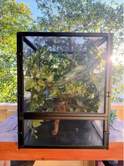 Reptile cage