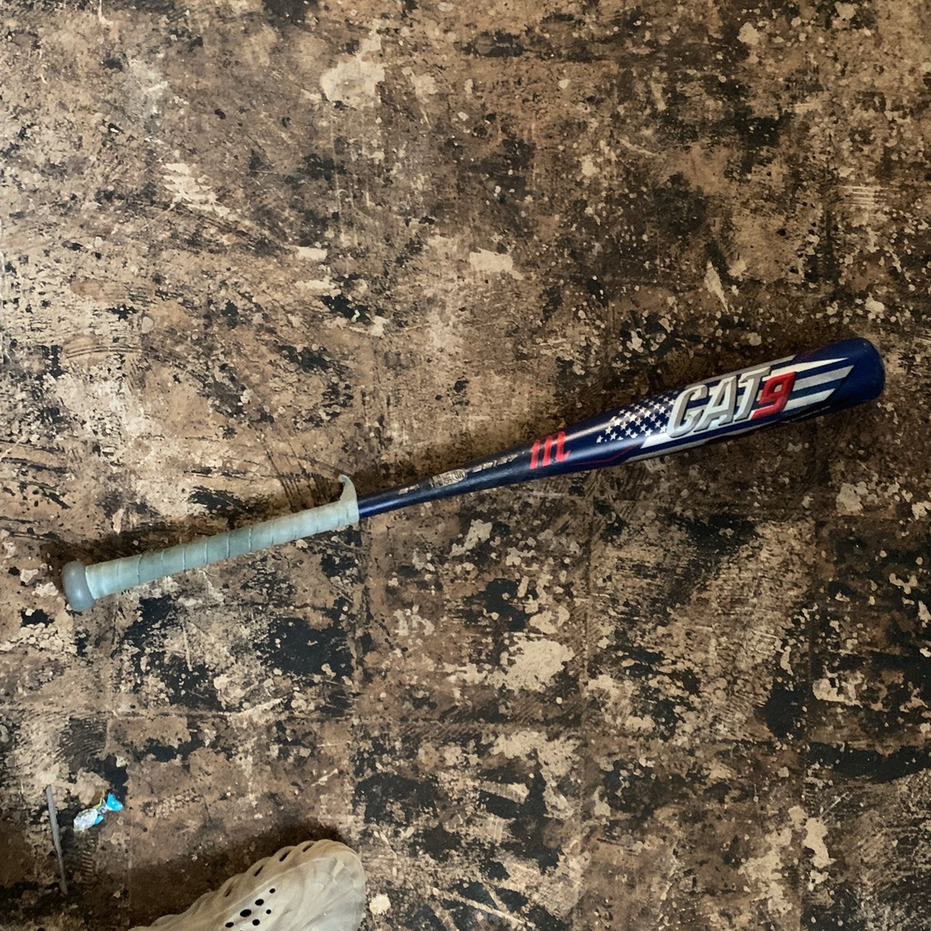 Cat 9