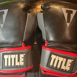 Title Boxing Medium Training Gloves in Good Used Condition