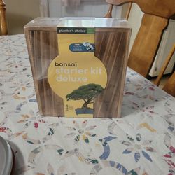 Bonsai Starter Kit Deluxe