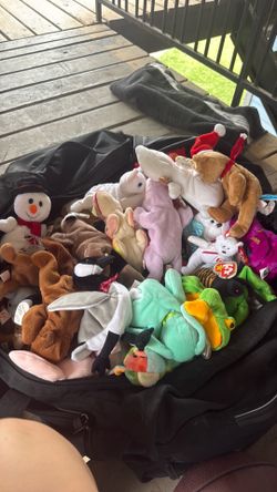 Ty beanie babies collection