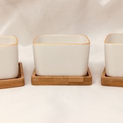 Set of three succulent planters, NEW
