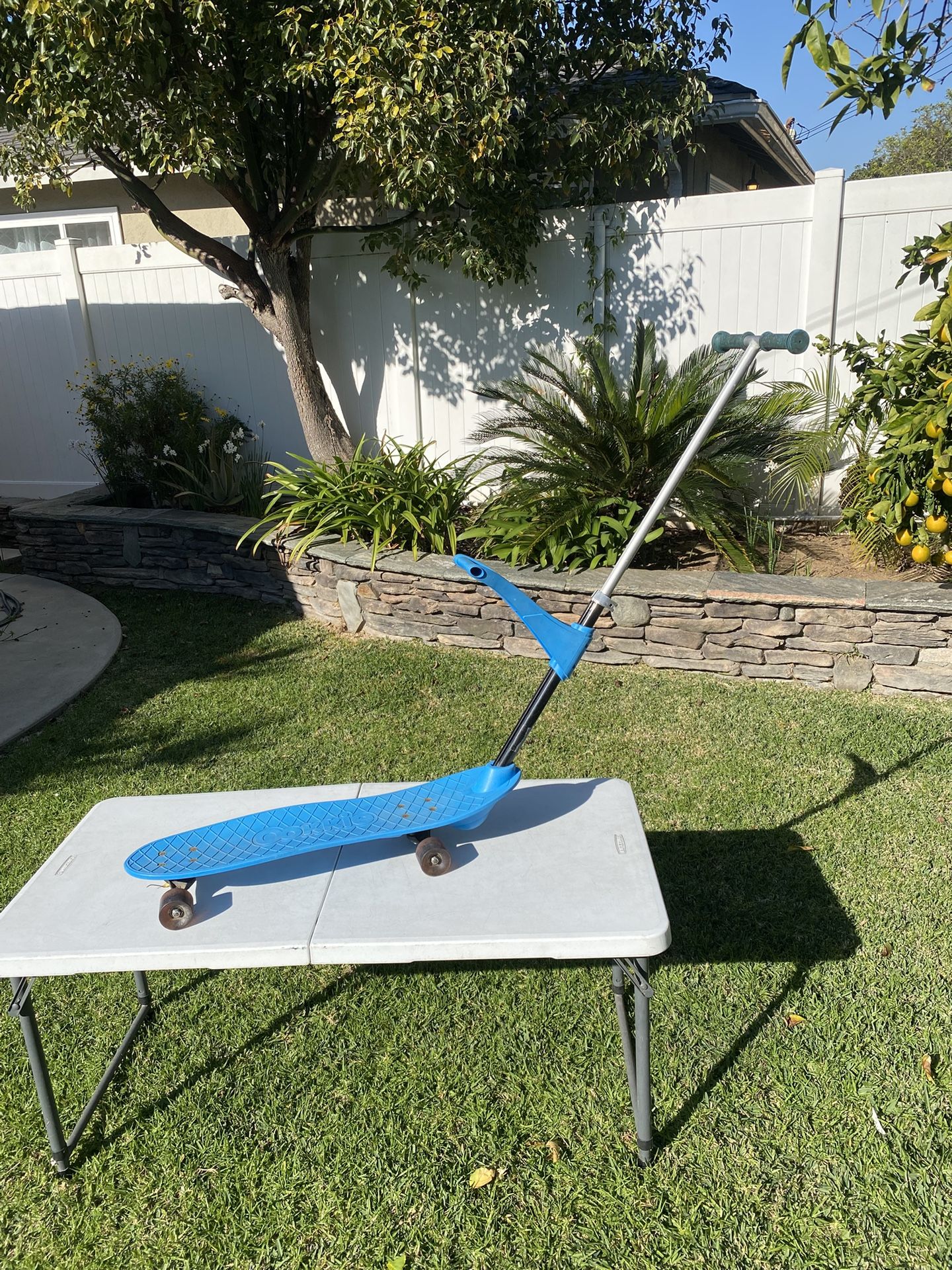 Ookkie Kids Learner Skateboard