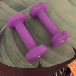            Neoprene Workout Dumbbell  Basics Neoprene Workout Dumbbell           