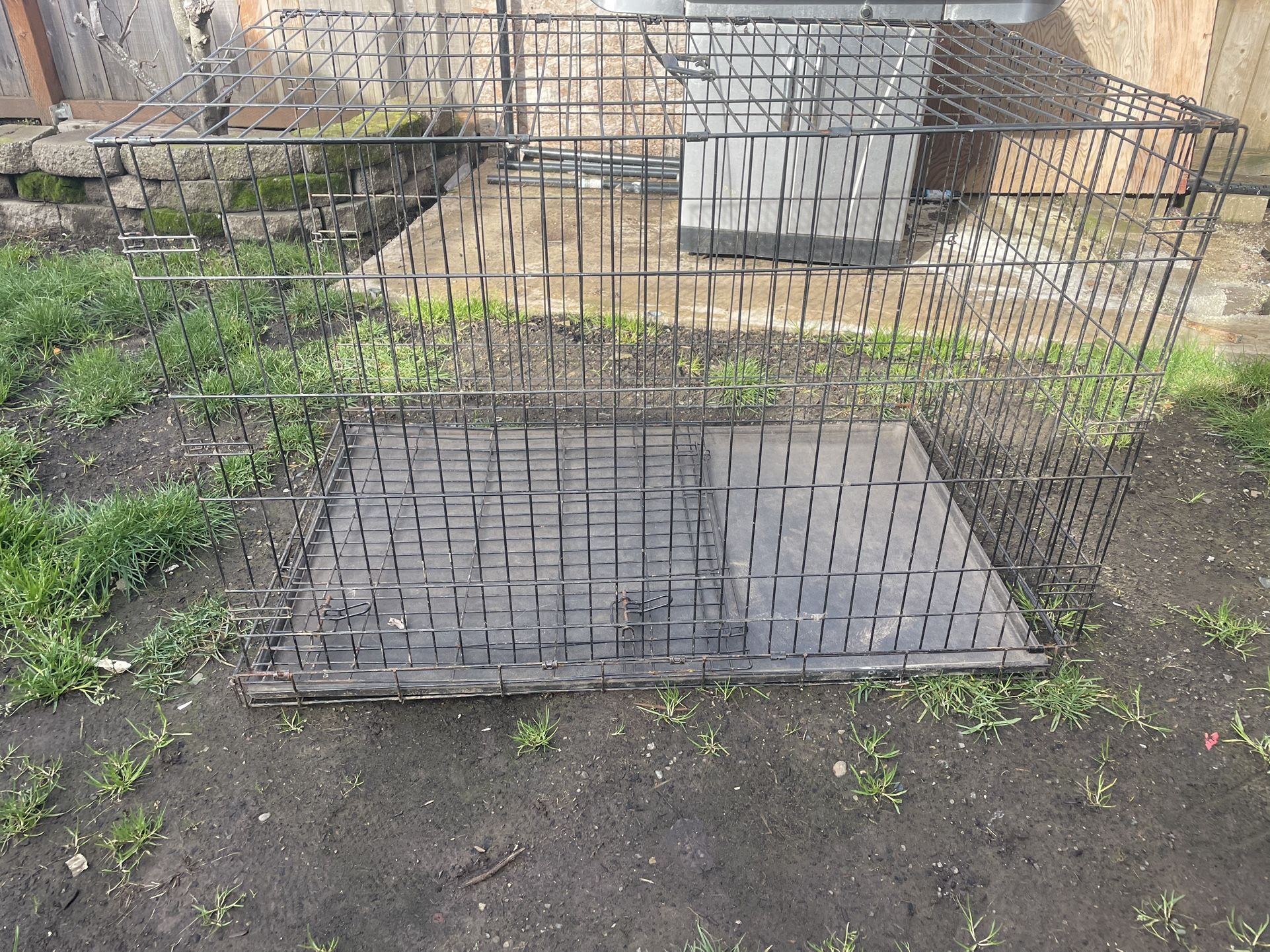 Big Cage
