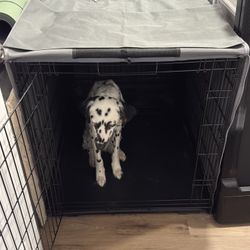 Dog Crate XL