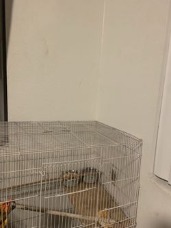 bird cage for sell