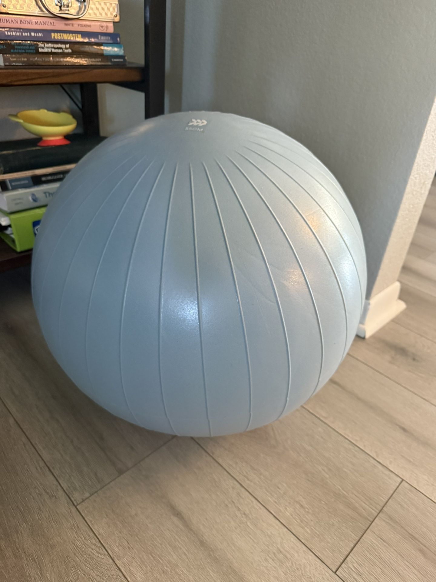 Workout Ball