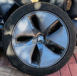 Tesla Tire