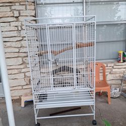 Bird Cage