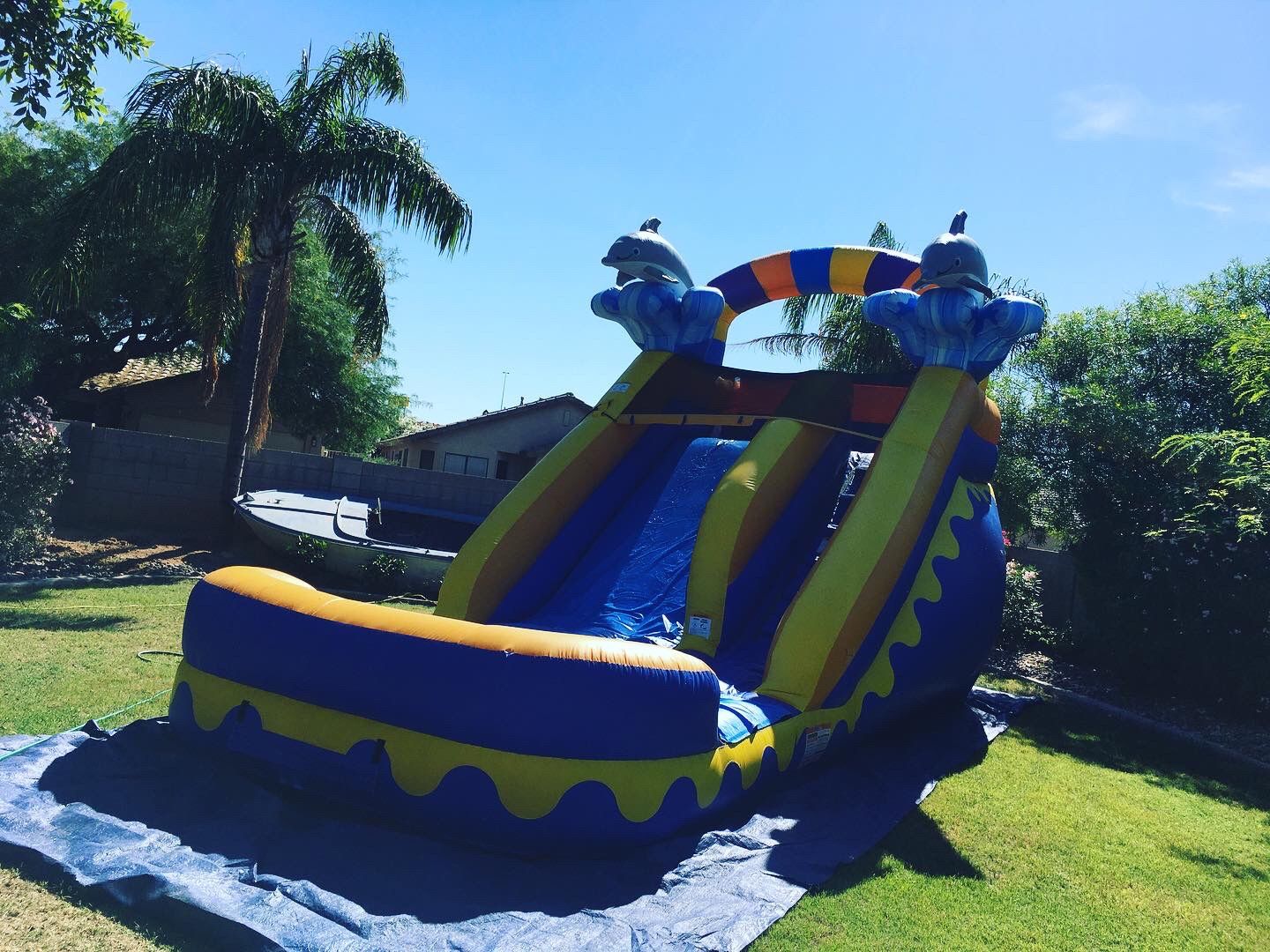 Blue waterslide dolphin inflatable