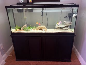Fish Tank with Stand