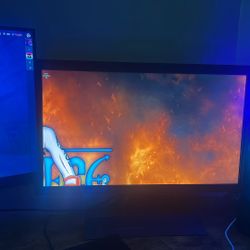 Benq Monitor 