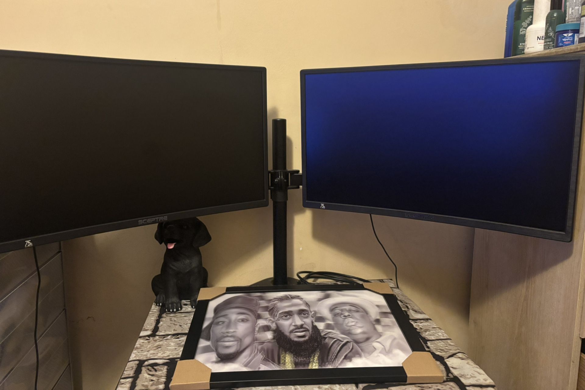 Sceptre Duel Monitor Screen