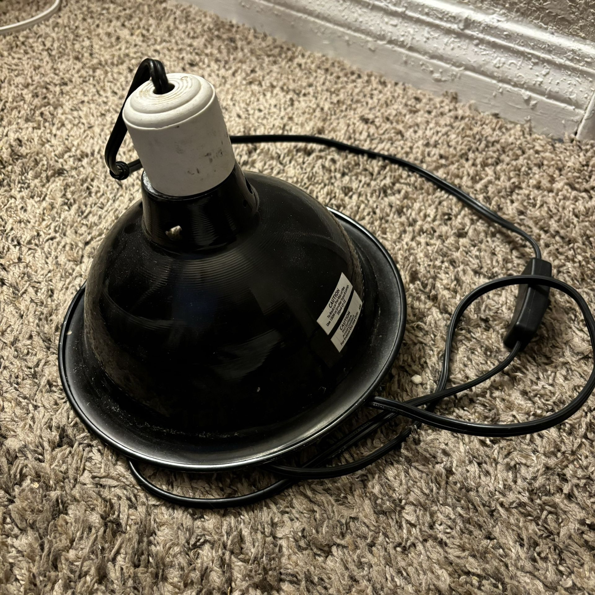 reptile lamp dome