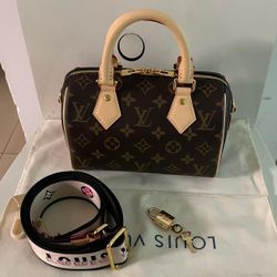 Louis Vuitton Monogram Speedy 20 Shoulder Bag