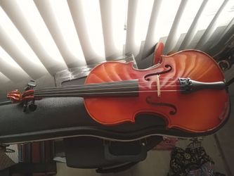 🎻✨